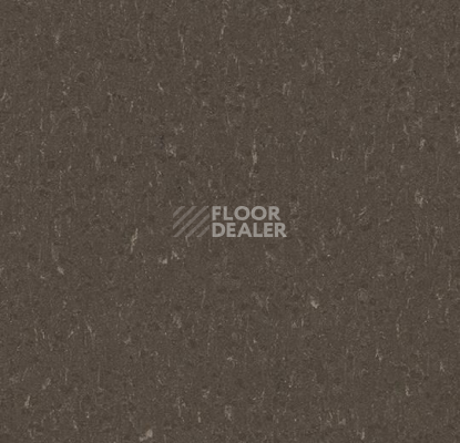 Линолеум Forbo Marmoleum Solid Piano 3632- 363235 sealion фото 1 | FLOORDEALER